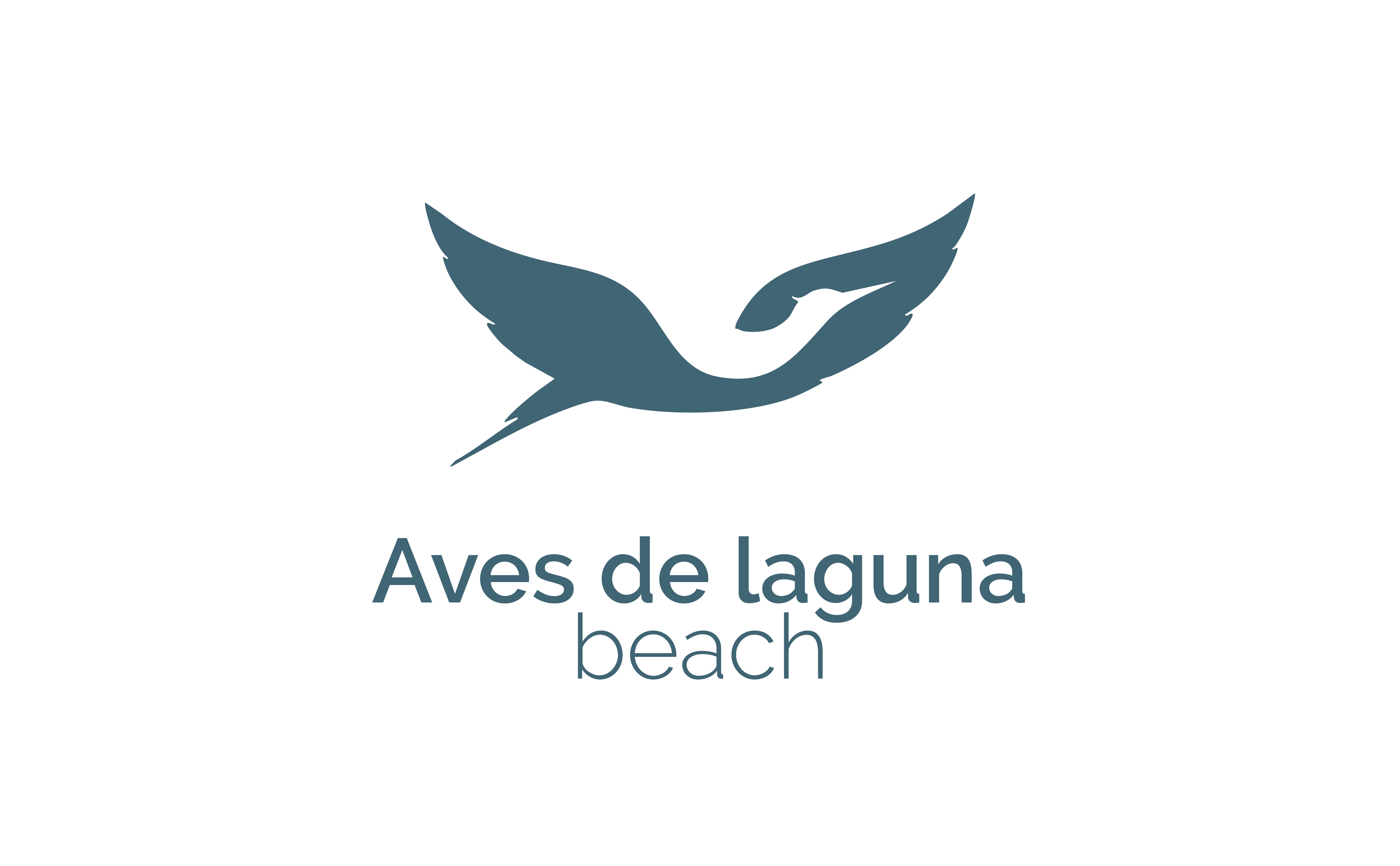 Aves de Laguna Beach